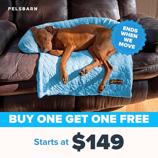 dog bed, pet bed, dog blanket, pet mat, dog cushion, pet bedding, dog furniture, limited time deal, lifestyle, warm, trustworthy, blue, brown
